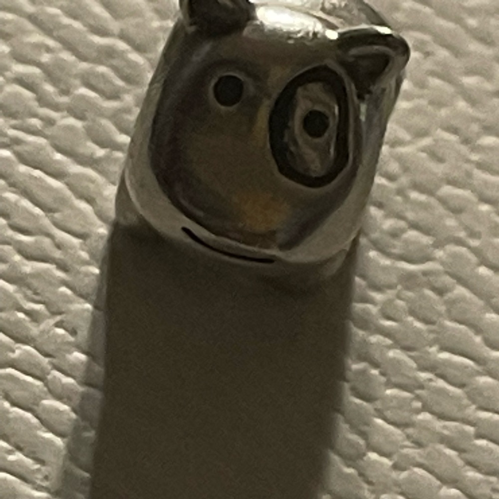 Retired Pandora Charm - image 1